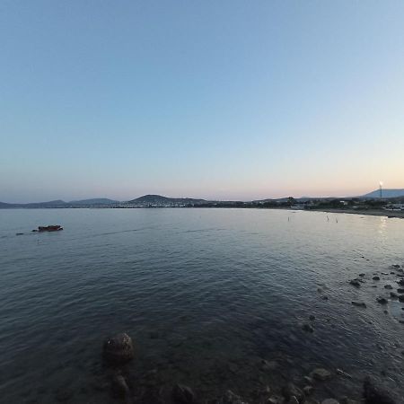 Apartamento Flat With Garden Near Sea, Port And Airport Artemida  Exterior foto