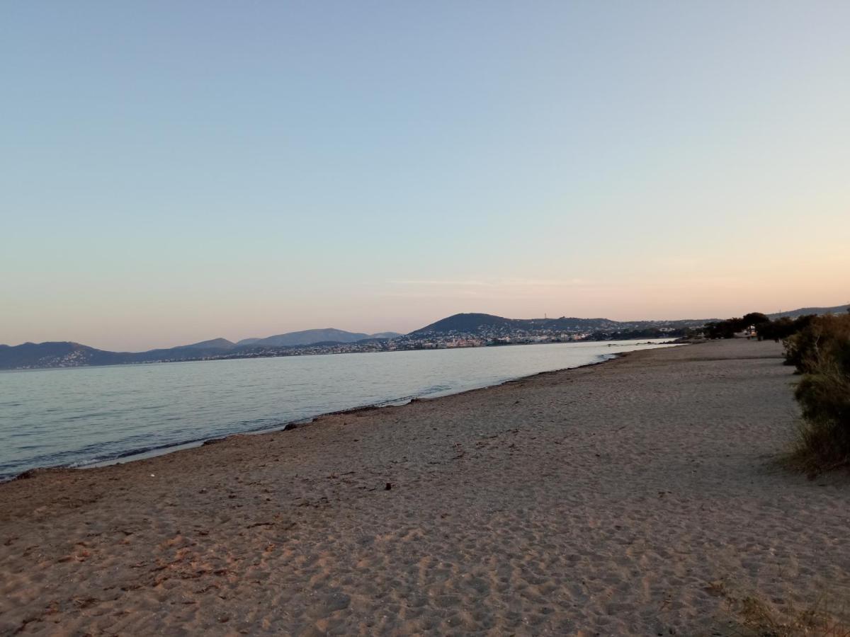 Apartamento Flat With Garden Near Sea, Port And Airport Artemida  Exterior foto
