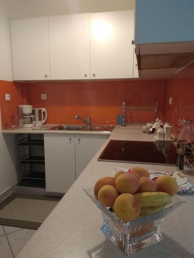 Apartamento Flat With Garden Near Sea, Port And Airport Artemida  Exterior foto